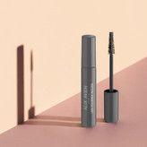 ریمل Lash Performer